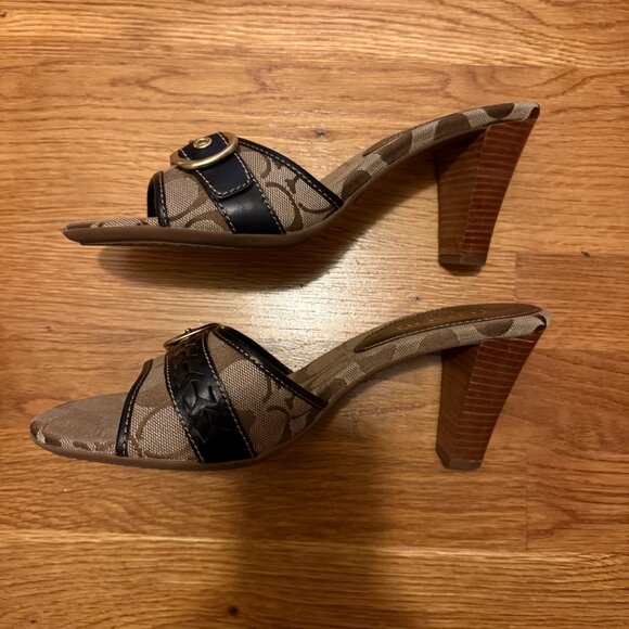 Coach slides - Picture 3 of 5